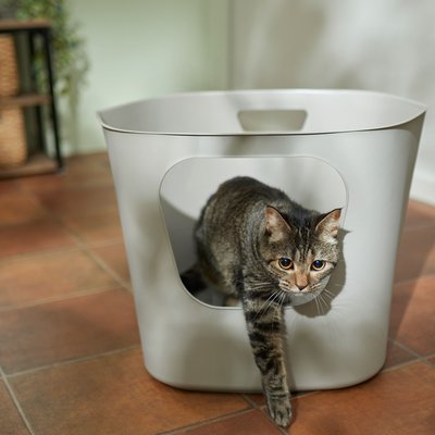 Frisco Leaf High-Sided Cat Litter Box, Large, slide 1 of 1