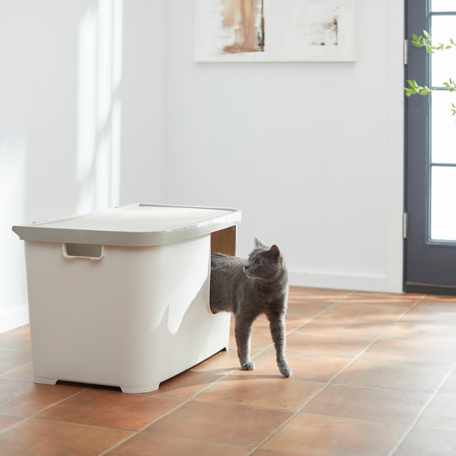 FRISCO MultiFunction Covered Cat Litter Box, Jumbo