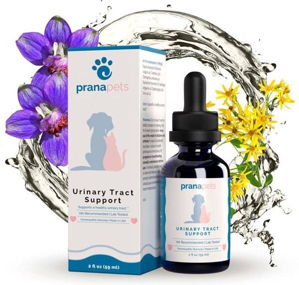 Prana Pets UTI Support Homeopathic Medicine for Urinary Tract Infections (UTI) for Cats & Dogs, 2-oz bottle slide 1 of 4
