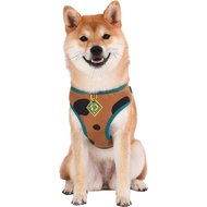 Fetch For Pets Scooby Doo Basic Dog Harness
