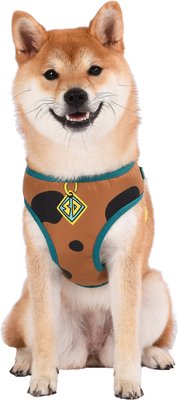Fetch For Pets Scooby Doo Basic Dog Harness, slide 1 of 1