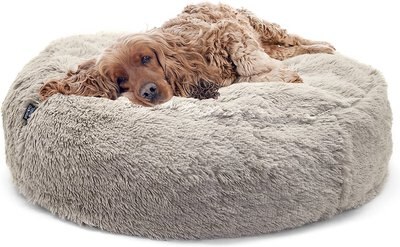 SP Comfy Dog Bed, Large, slide 1 of 1