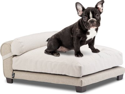 Club Nine Pets Belmont Orthopedic Cat & Dog Bed, Large, slide 1 of 1