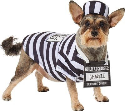 Frisco Prisoner Dog & Cat Costume, slide 1 of 1