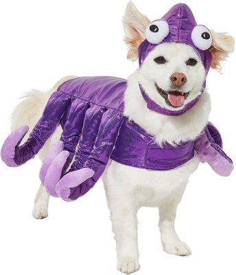 Frisco Octopus Dog & Cat Costume, slide 1 of 1
