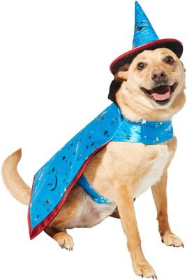 Frisco Wizard Dog & Cat Costume, slide 1 of 1