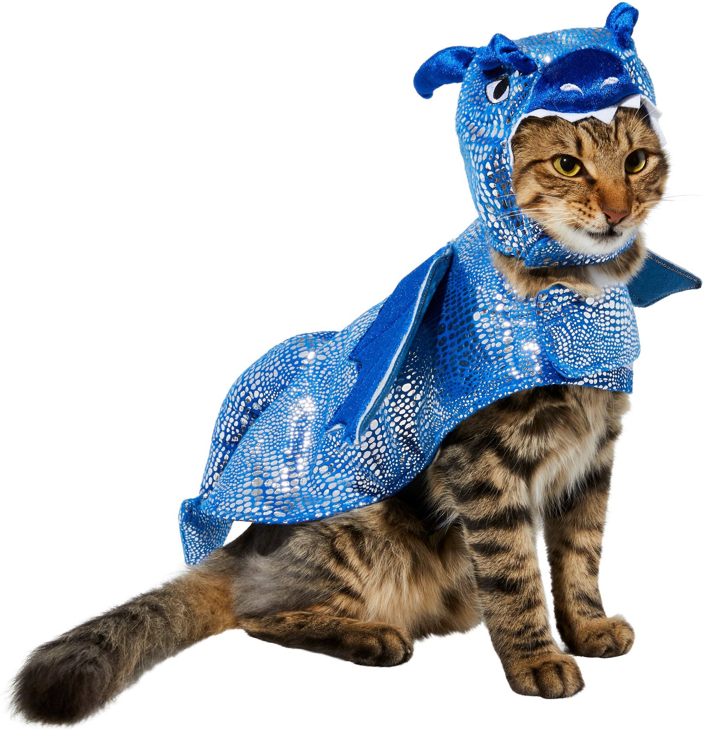 cat wearing a dinosaur cat halloween costume