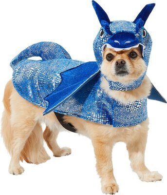 Frisco Dragon Dog & Cat Costume, slide 1 of 1