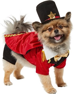 Frisco Ringmaster Dog & Cat Costume, slide 1 of 1
