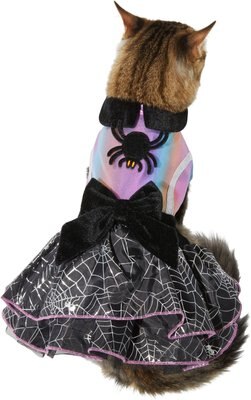Frisco Iridescent Witch Dog & Cat Costume, slide 1 of 1