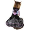 Frisco Iridescent Witch Dog & Cat Costume
