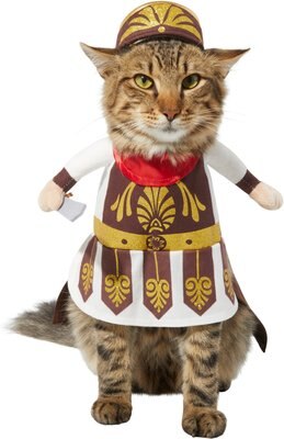 Frisco Front Walking Warrior Dog & Cat Costume, slide 1 of 1