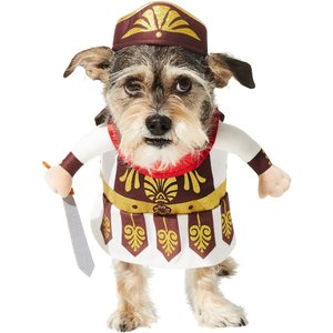 Frisco Front Walking Warrior Dog & Cat Costume, XX-Large
