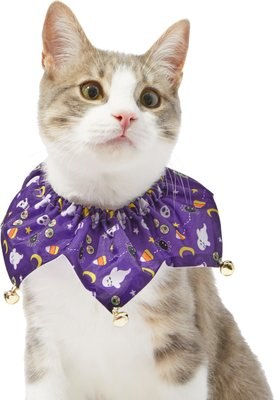 Frisco Spooky Halloween Cat Collar Ruffle, One Size, slide 1 of 1