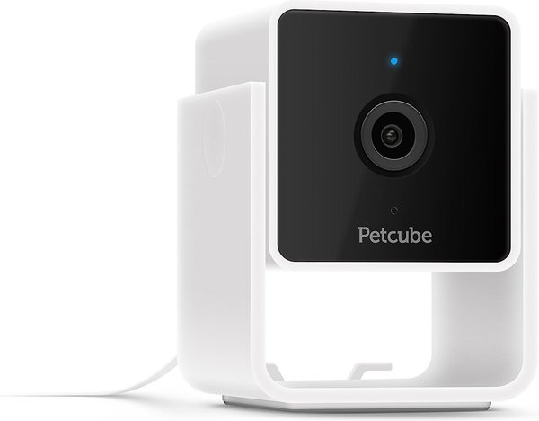 Petcube Cam HD Monitoring With Vet Chat Pet Camera slide 1 of 6