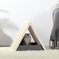 Petsfit Triangular Pets Indoor Cat House w/ Sisal Mat