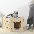 Petsfit Indoor Cat House & Comfort Mats, 2 count