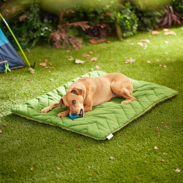 Frisco Travel Pillow Dog Bed with Reusable Storage Bag, Green, X-Large slide 1 of 6