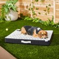 Frisco Indoor/Outdoor Arrow Print Pillow Dog Bed w/Removable Cover, Large