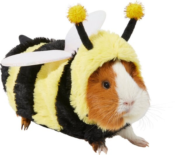 Frisco Bumble Guinea Pig Costume, One Size slide 1 of 7