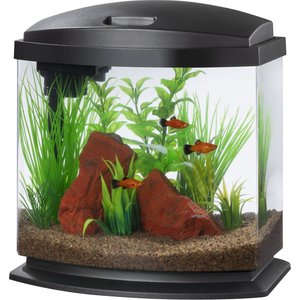 Aqueon LED MiniBow SmartClean Fish Aquarium Kit, Black, 2.5-gal