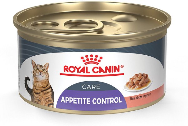 Royal Canin Feline Care Nutrition Appetite Control Care Thin Slices in Gravy Wet Cat Food, 3-oz, case of 24 slide 1 of 6