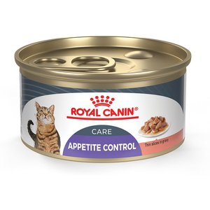 Royal Canin Feline Care Nutrition Appetite Control Care Thin Slices in Gravy Wet Cat Food, 3-oz, case of 24