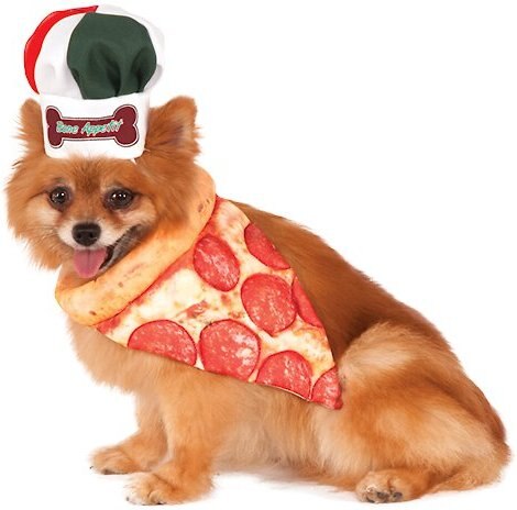 Rubie's Costume Company Pizza Chef Kit Dog Costume, Small/Medium slide 1 of 2