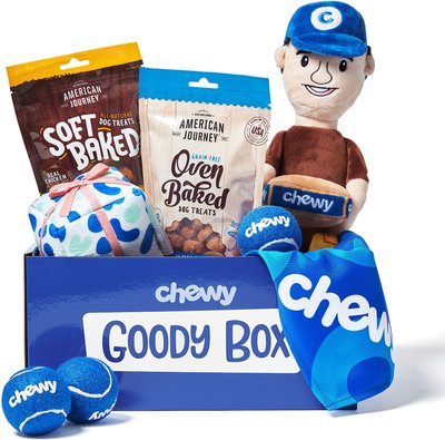 Goody Box Chewy Dog Toys, Treats, & Bandana, slide 1 of 1