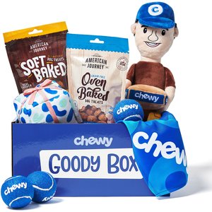 Blue chewy goody box with tennis balls, toys and treats
