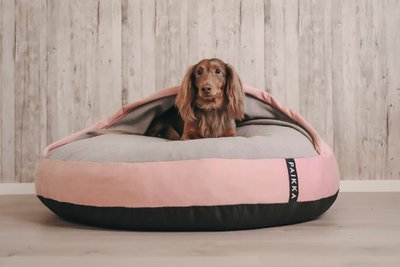 PAIKKA Recovery Burrow Orthopedic Covered Dog Bed w/ Removable Cover, slide 1 of 1