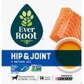 EverRoot Hip & Joint + Salmon Oil Liquid Dog Supplement, 0.5-oz, case of 14