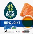 EverRoot Hip & Joint + Salmon Oil Liquid Dog Supplement, 0.5-oz, case of 14