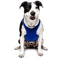 ProDogg Anxiety Vest for Dogs, Royal Blue, Large