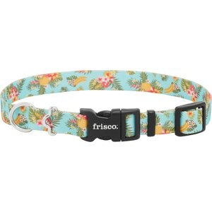 Frisco Tropics Dog Collar, XS - Neck: 8 – 12-in, Width: 5/8-in