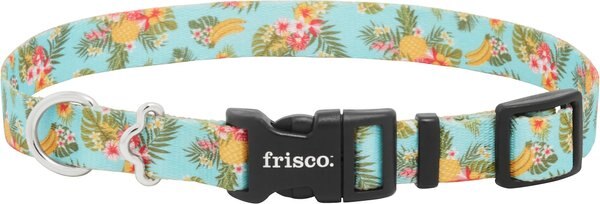 Frisco Tropics Dog Collar, SM - Neck: 10 – 14-in, Width: 5/8-in slide 1 of 4
