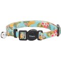 Frisco Tropics Cat Collar, 8-12 inches, 3/8-in wide