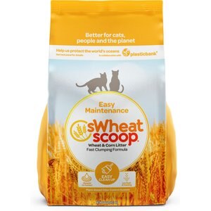 sWheat Scoop Wheat-Corn Blend Unscented Clumping Cat Litter, 36-lb bag