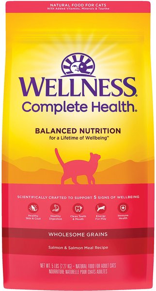 Wellness Complete Health Salmon Adult Dry Cat Food, 5-lb bag slide 1 of 9
