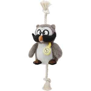 Frisco Magic Owl Plush with Rope Squeaky Dog Toy