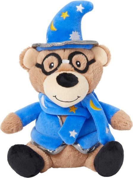 Frisco Magic Wizard Bear Plush Squeaky Dog Toy slide 1 of 4