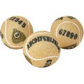 Frisco Magic Talking Board Fetch Squeaky Tennis Ball Dog Toy, 3 count