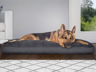 FurHaven Snuggle Deluxe Pillow Cat & Dog Bed w/Removable Cover, slide 1 of 1