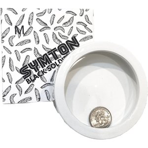 Symton No-Escape Ceramic Reptile Food Bowl, Medium