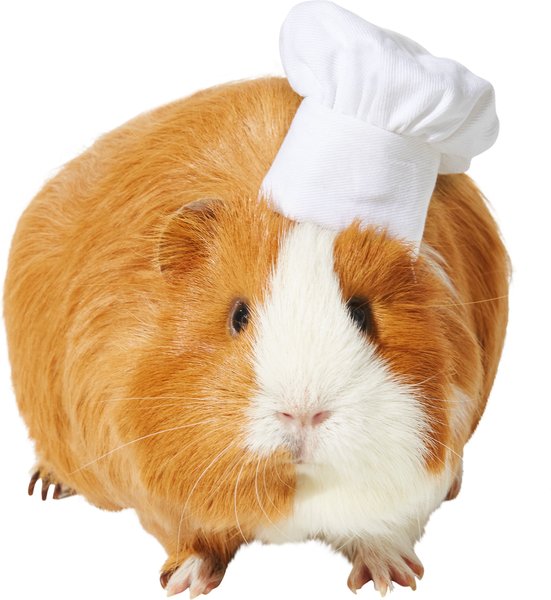Frisco Chef Guinea Pig Costume Hat, One Size slide 1 of 5