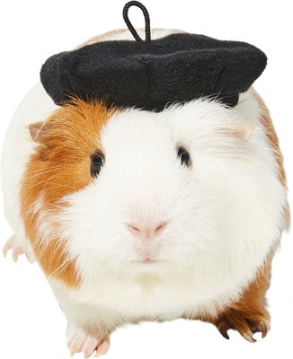 Frisco French Beret Guinea Pig Costume Hat, One Size, slide 1 of 1