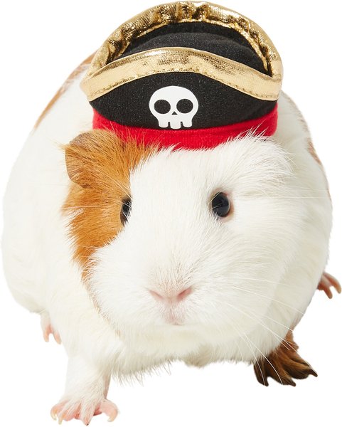 Frisco Pirate Guinea Pig Costume Hat, One Size slide 1 of 5