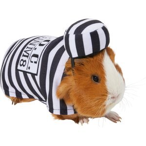 Frisco Prisoner Guinea Pig Costume, One Size
