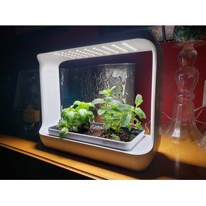 Lifegard Aquatics LED Garden & Planter Box Kit