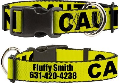 Buckle-Down Polyester Personalized Dog Collar, Caution, slide 1 of 1